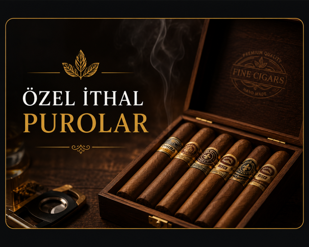 puro katagorİ
